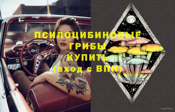 ALPHA PVP Алзамай