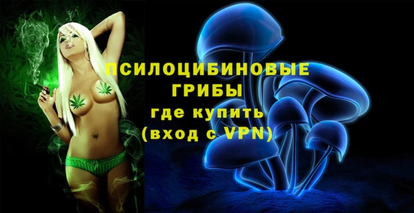 амфетамин Алексин