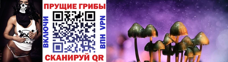 Псилоцибиновые грибы Psilocybe где можно купить Крымск